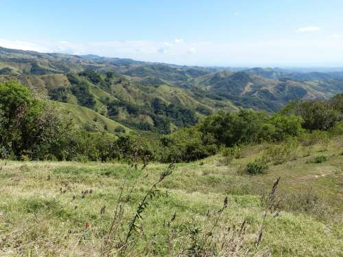 Landscape Costa Rica Central America Nature Tree