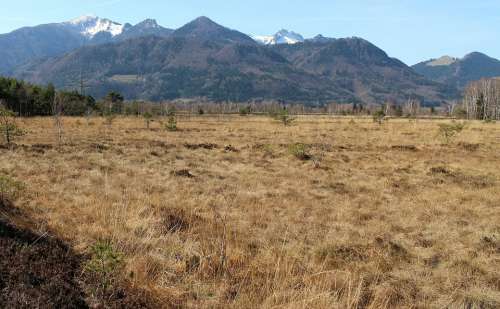 Landscape Chiemgau Bavaria Moor Peat Mountains