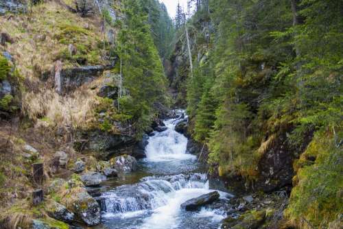 Landscape Environment Nature Trees Forest River