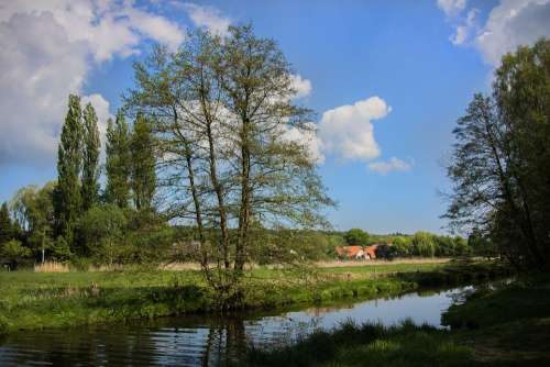 Landscape Sky Clouds Plant Nature Green Walk