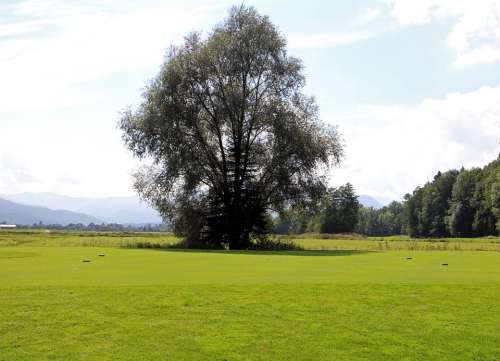 Landscape Chiemgau Tree Individually Meadow