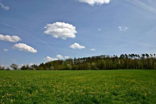 Landscape Spring Hill Forest Edge Of The Woods