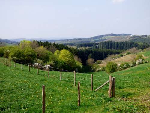 Landscape Dal Luxembourg Spring
