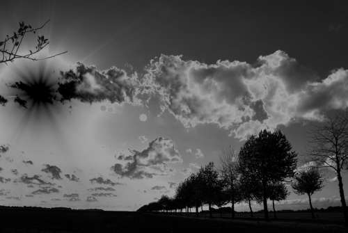 Landscape Trees Rays Black And White Sky Clouds