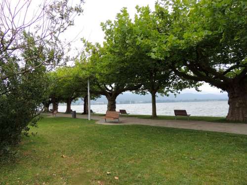 Landscape Lake Lake Constance Germany