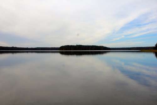 Landscape Lake Stechlinsee Nature