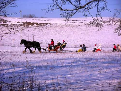 Landscape Winter Snow Ice Sleigh Ride Horse