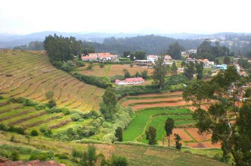 Landscape Valley Forest Trees Fields Rural Rustic