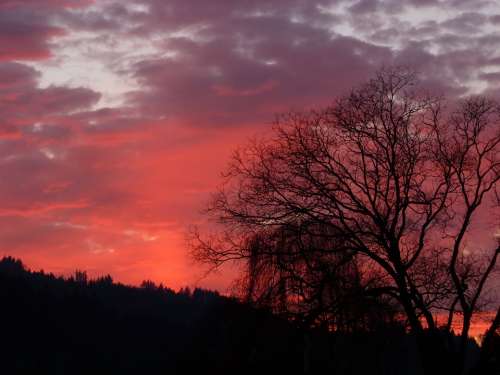 Landscape Trees Forest Silhouette Nature Sunset