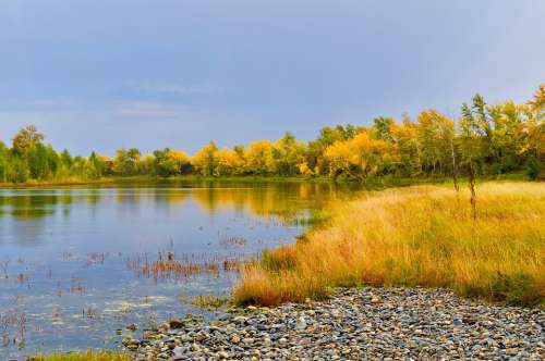 Landscape Nature Rain Sky Autumn River Trees