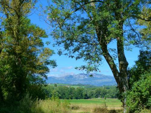 Landscapes Nature Field Summer Trees Sky Mountain