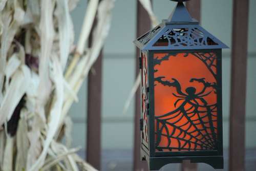 Lantern Halloween Orange Spooky Corn October