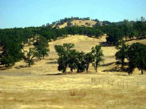 Latrobe California Landscape Hills Hillside