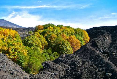 Lava Magma Force Of Nature Contrast Autumn