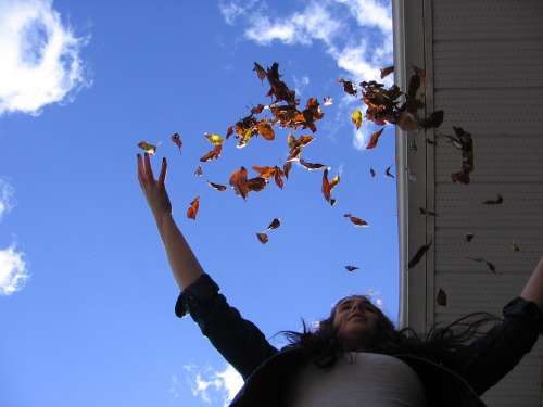 Leaves Autumn Fall Throw Happy Girl Woman