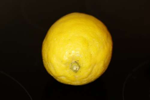 Lemon Citrus Citrus Fruit Fruit Sour Healthy