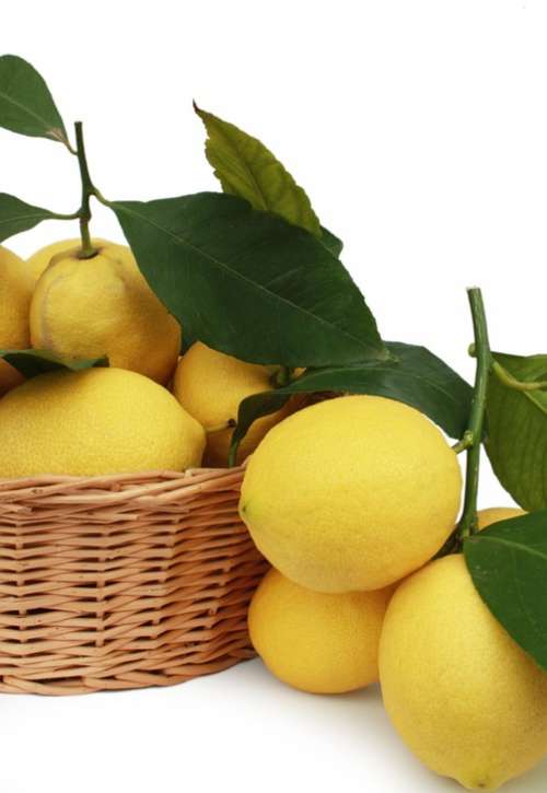 Lemons Citrus Fruits Fruit Basket Mature Juice