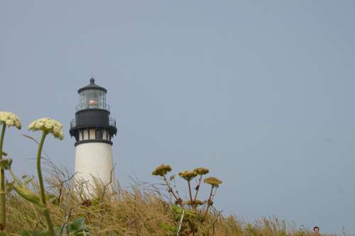 Lighthouse Beacon Building Tower Usa Oregon