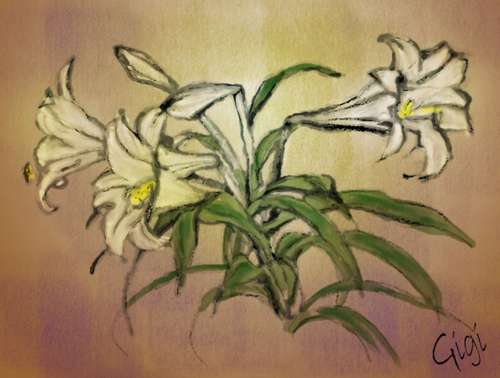Lilys Flower Own Painting Artwork