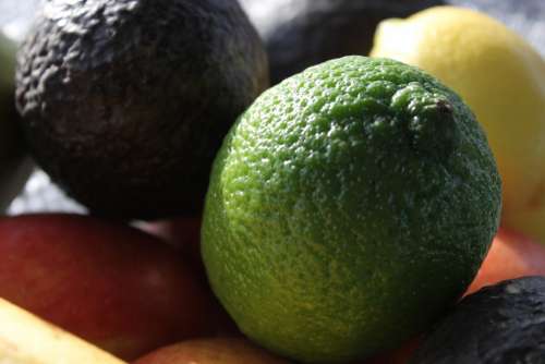 Lime Avocado Fruit Food Lemon Citrus Fresh