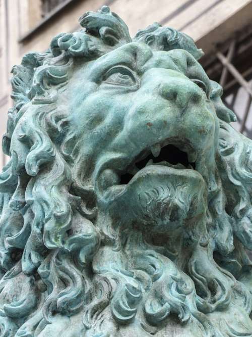 Lion Statue Head Sculpture Munich Bavaria City