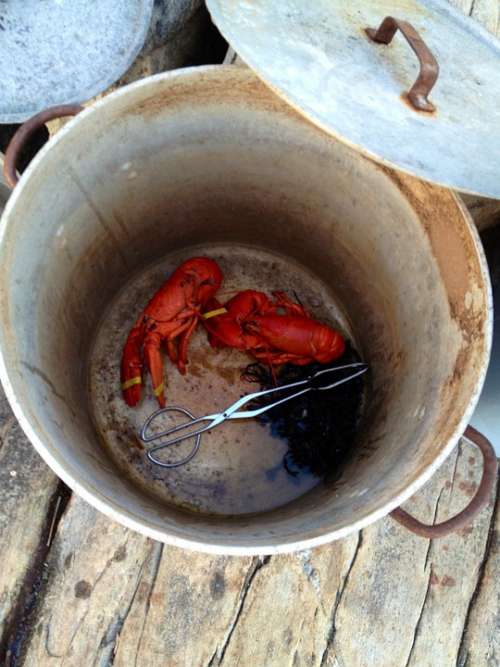 Lobster Lobster Pot Maine Pot Lobsters Pots