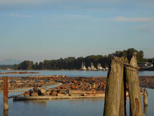 Logs Lumber River Logging Timber Logistics