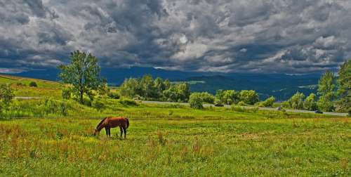 Lonely Horse Pasture Land Before The Storm Meadow