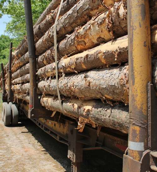 Lumber Trailer Wood Tree Trunk Dead Tree Cutting