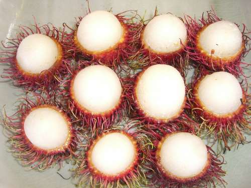 Lychee Fruit Pointed Thailand