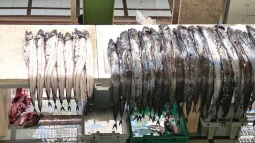 Madeira Portugal Funchal Scabbard Fish Fish Market