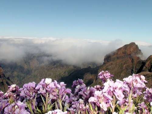 Madeira Mountain Summit Portugal Island Spring