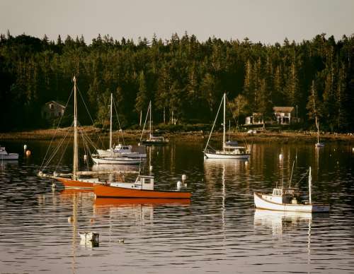 Maine Harbor Bay Boats Ships Forest Trees Nature