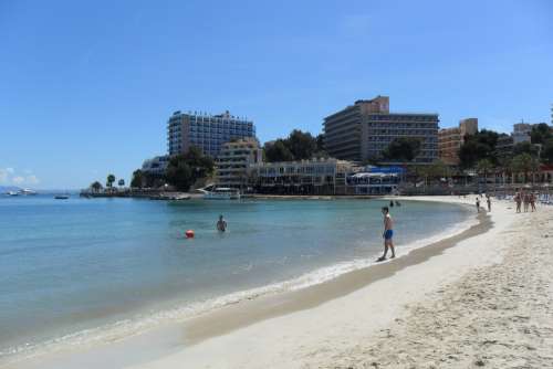 Majorca Palm Trees Palma Beach Sand Sea Holiday