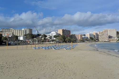 Majorca Palma Palm Trees Beach Sand Sea Holiday