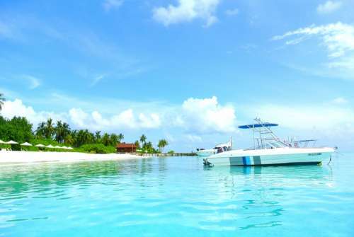 Maldives Coconut Tree Sea Resort Summer Holiday