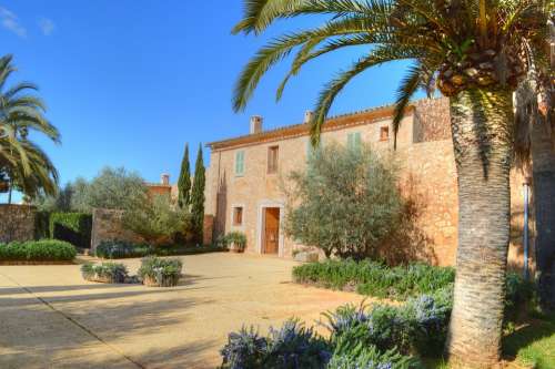 Mallorca Farm Landscape