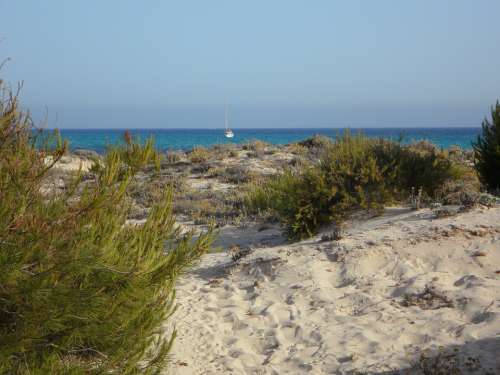 Mallorca It Trenc Dune Dune Landscape Horizon Sea