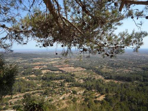 Mallorca Landscape Outlook Agriculture View Vision