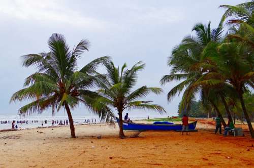 Malpe Beach Arabian Sea Palm Trees Sand Beach