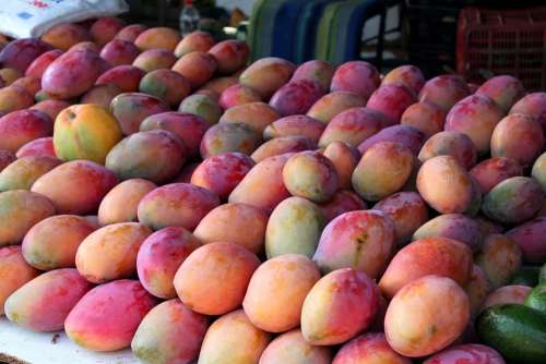 Mangoes Spain Andalusia Market Fruits Vegetables