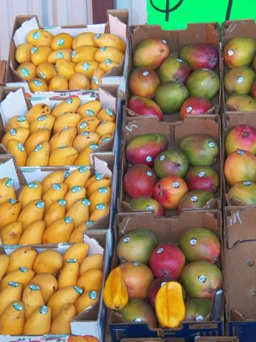 Mangos Fruit Fresh Healthy Tropical Sweet Diet