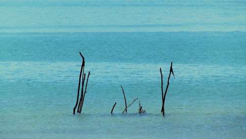 Mar Beach Water Bay Ocean Fish Cove Nature