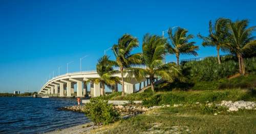 Marco Island Florida Bridge Palm Trees Gulf