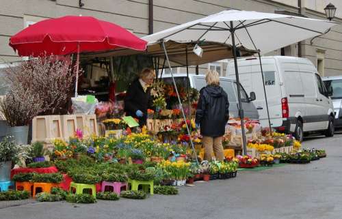 Market Market Day Flowers Was Market Umbrellas Sale