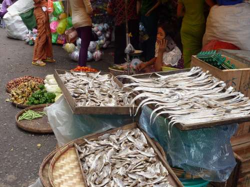 Market Traditional Asia Fish Burma Myanmar Yangon