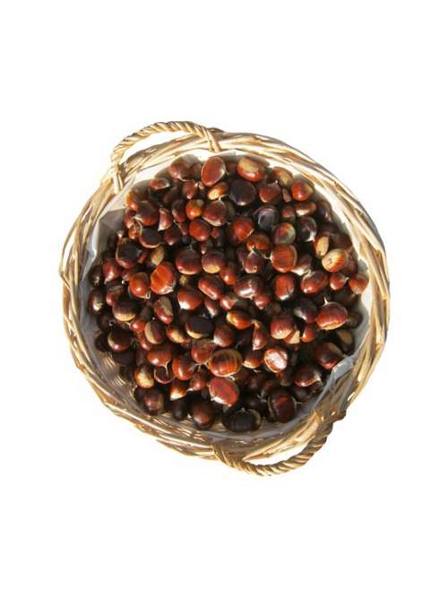 Maroni Sweet Chestnuts Basket Isolated Brown Shiny