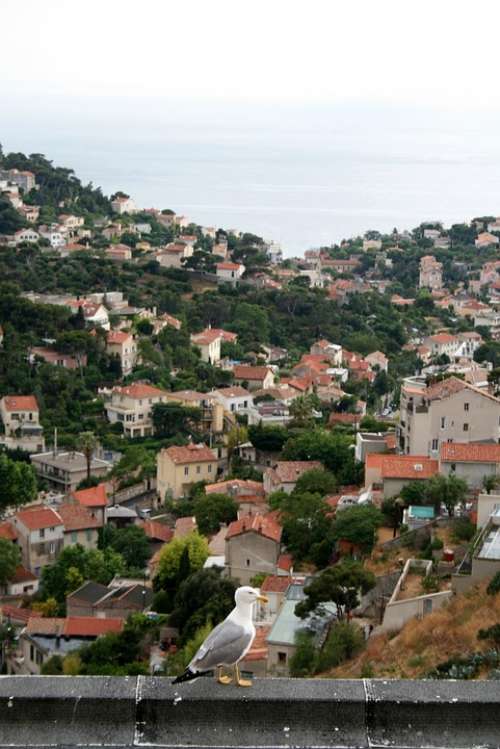 Marseille City Sea France Seagull Village