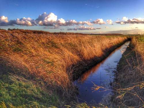 Marsh Cuxhaven Romance Sunset Reed Water