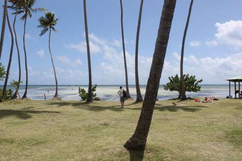 Martinique Beach Ocean Sea Holiday